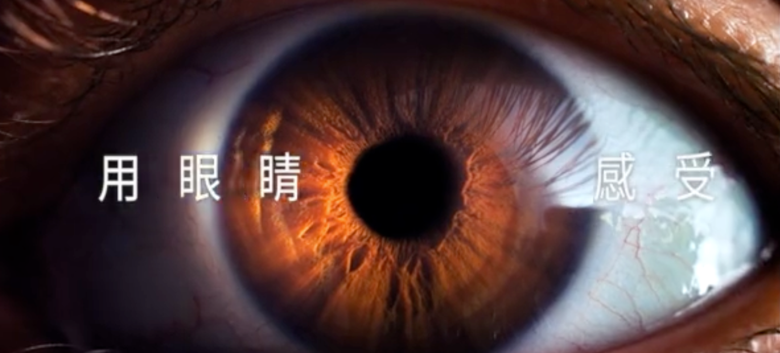 Porsche Taycan 2024 Launch