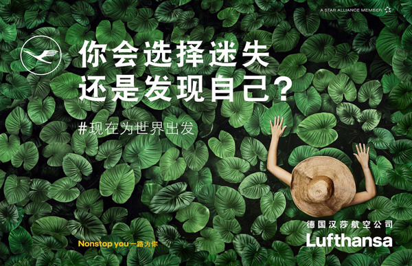 Image of a person in a straw hat from above among a lot of large green leaves